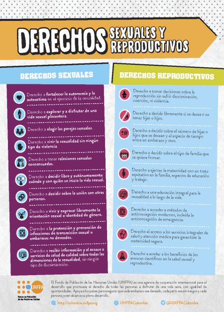 INFOGRAFIA_DSR_WEB